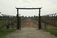 Stacheldrahttor im KZ Auschwitz