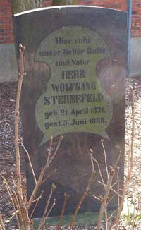 Grabstein Wolfgang Sternefeld - Jdischer Friedhof Goch